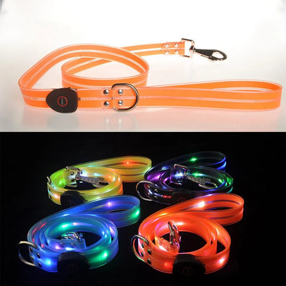 Dog Leash LED Light