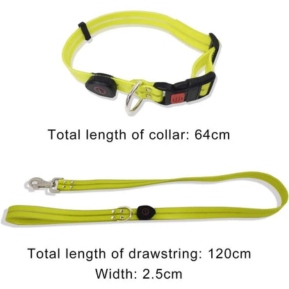 Dog Leash LED Light