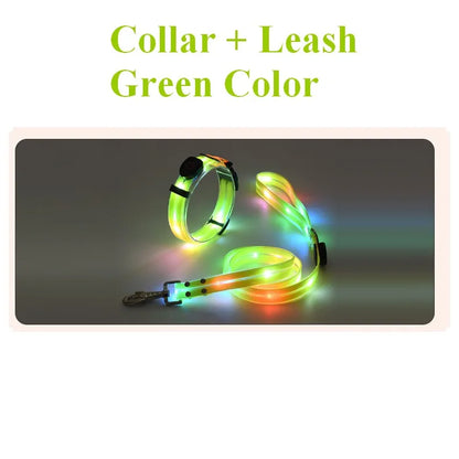 Dog Leash LED Light