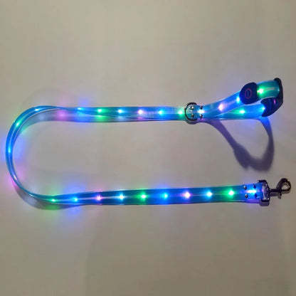 Dog Leash LED Light