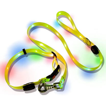 Dog Leash LED Light