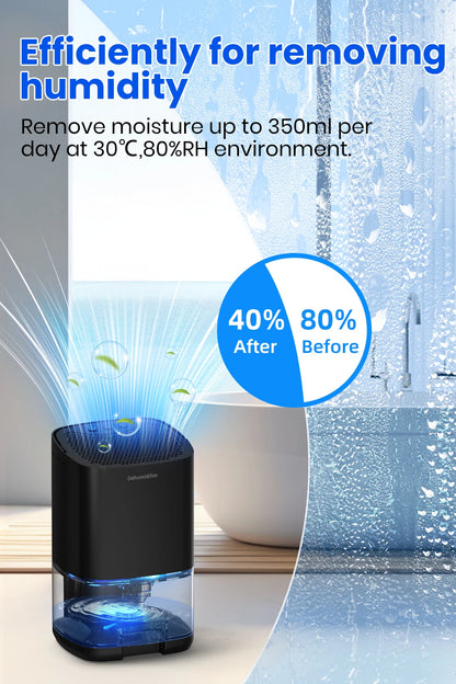 Portable Dehumidifier