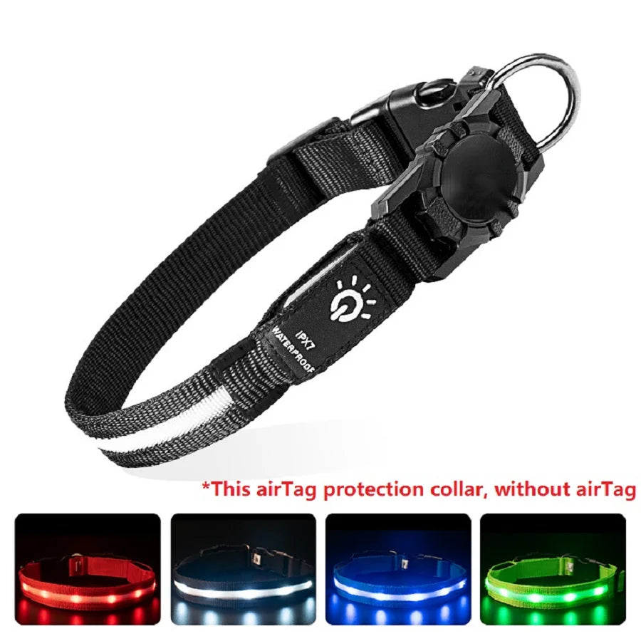 GPS Light Collar