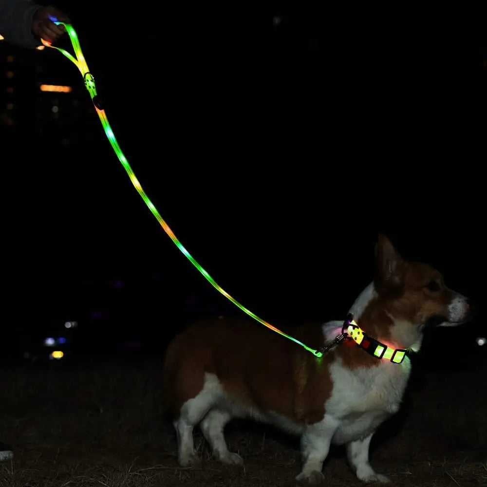 Dog Leash LED Light