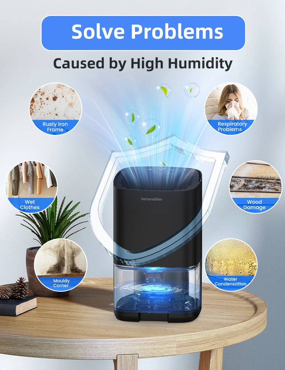 Portable Dehumidifier