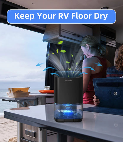 Portable Dehumidifier