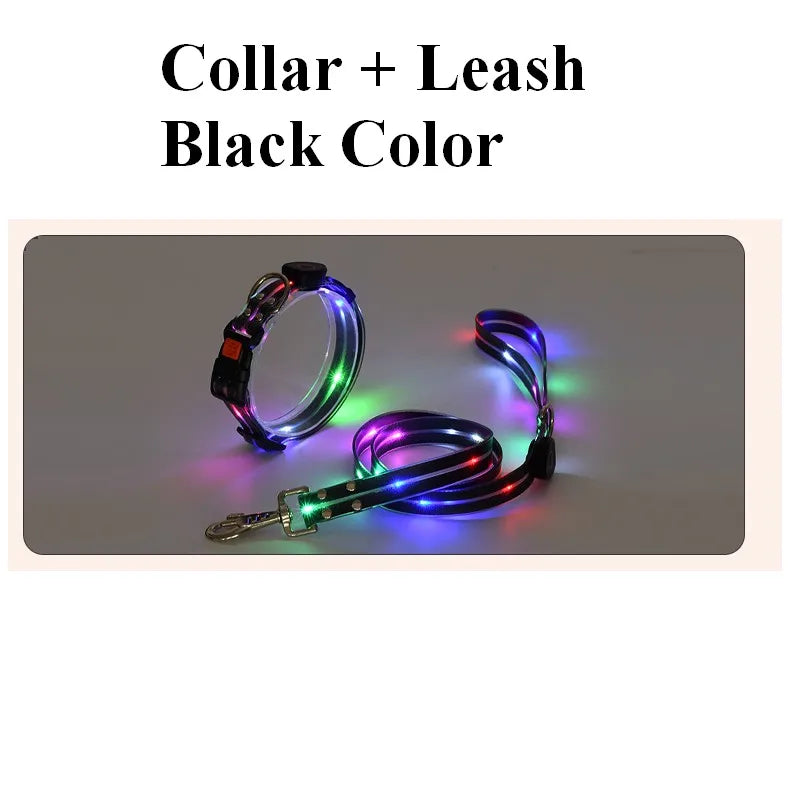 Dog Leash LED Light