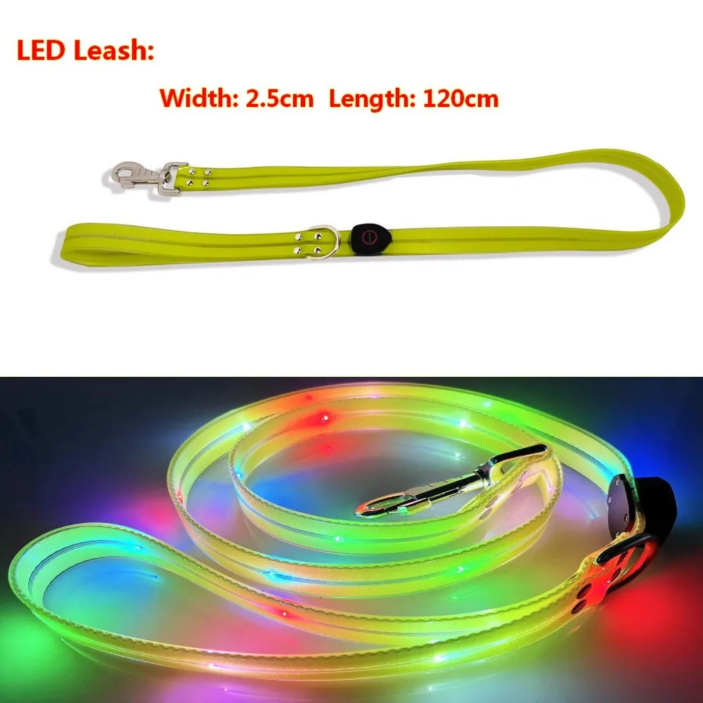 Dog Leash LED Light