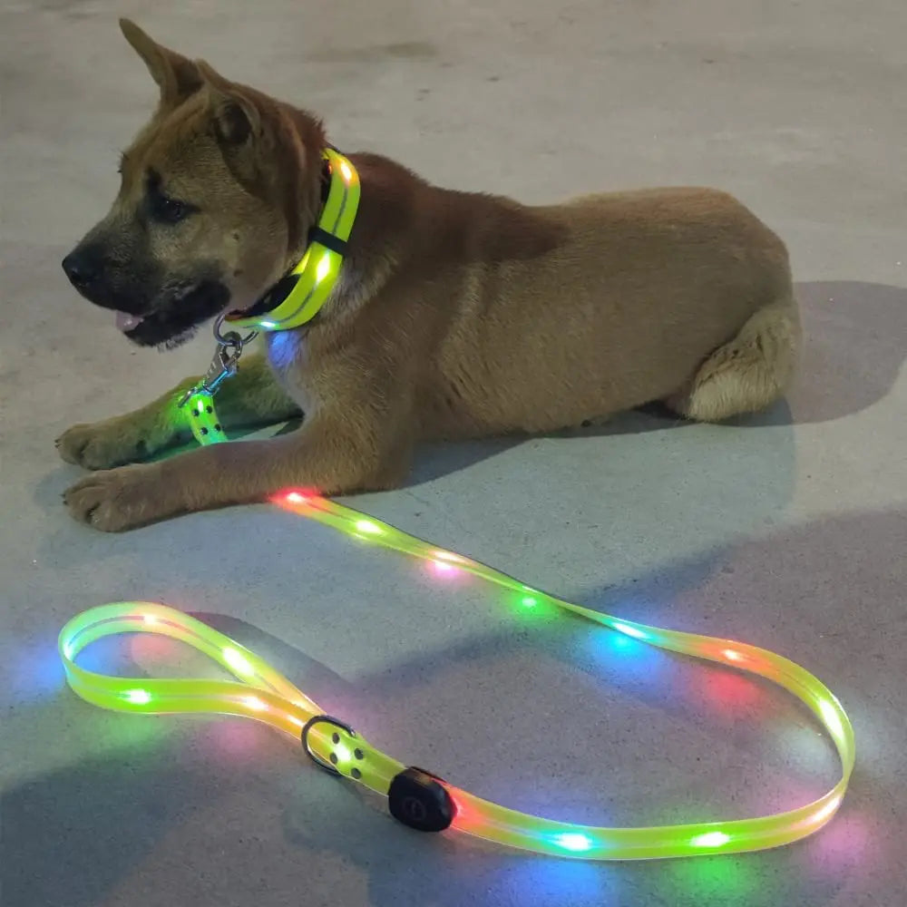 Dog Leash LED Light