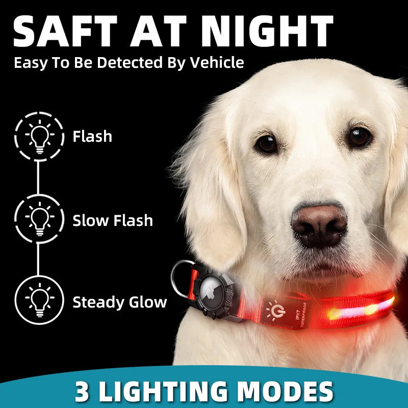 GPS Light Collar