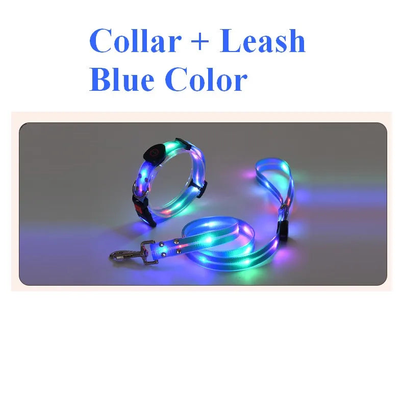 Dog Leash LED Light