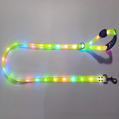 Dog Leash LED Light