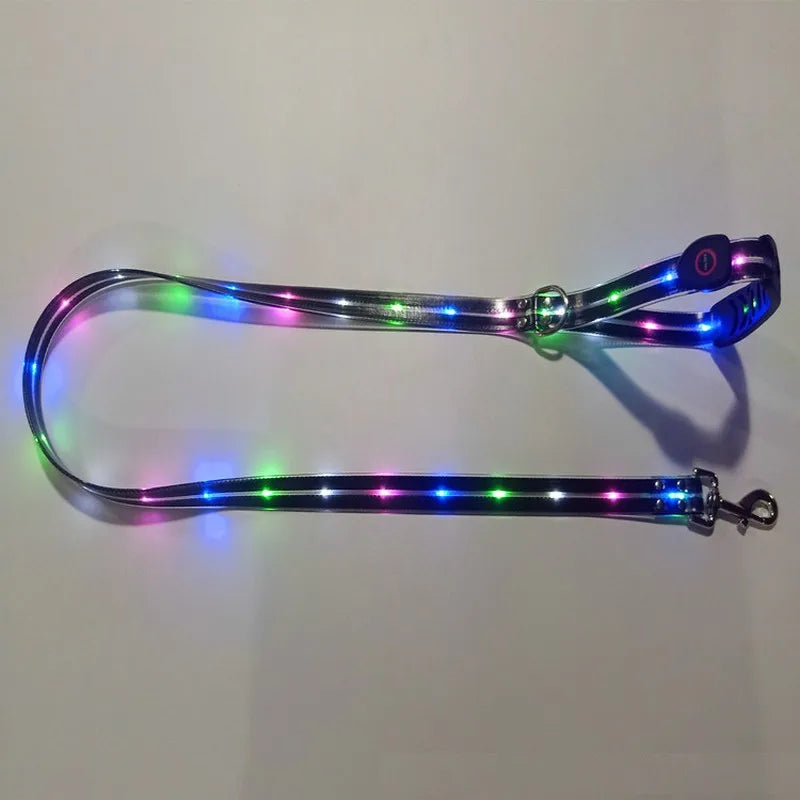 Dog Leash LED Light