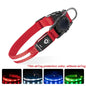 GPS Light Collar