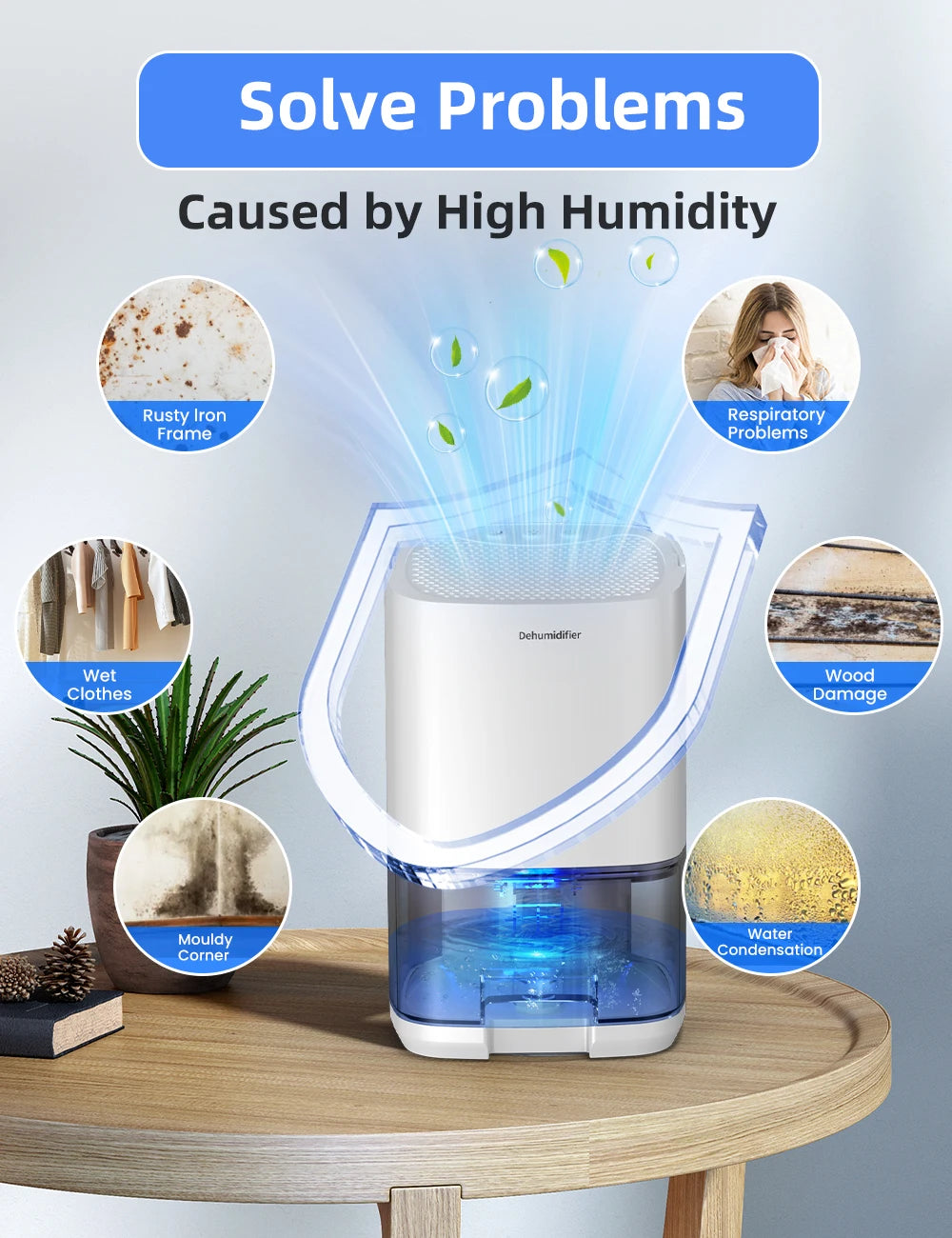 Portable Dehumidifier