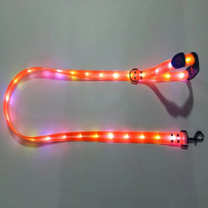 Dog Leash LED Light