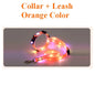 Dog Leash LED Light